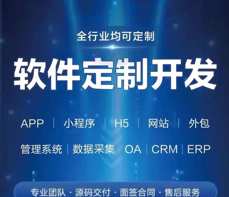 APP开发选购指南：打造专属应用的智慧之选